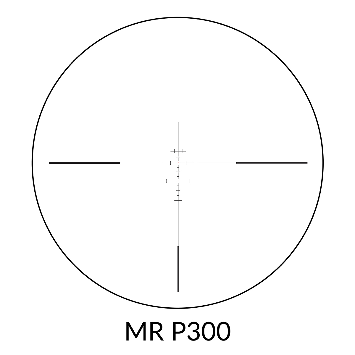 MR.P300